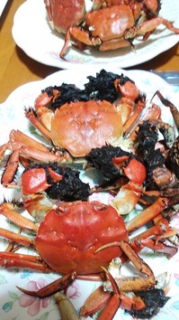 もくず蟹