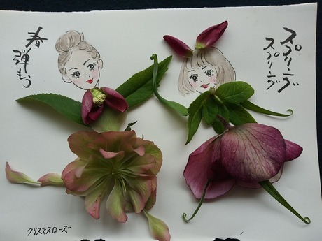 クリスマスローズ