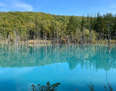 北海道青い池